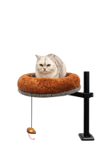 Grumpy-faced light tabby cat sitting in the Petyze raised cat desk bed with a plush rust-brown donut cushion and gray base mounted on a black metal stand, featuring a small hanging mouse toy beneath the bed.