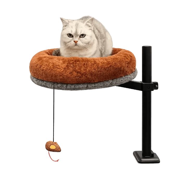 Grumpy-faced light tabby sitting in the raised Petyze cat desk bed with plush brown cushion and toy.