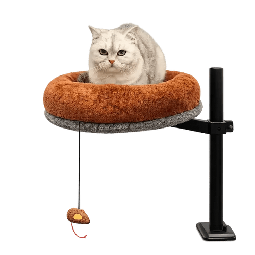 Grumpy-faced light tabby sitting in the raised Petyze cat desk bed with plush brown cushion and toy.