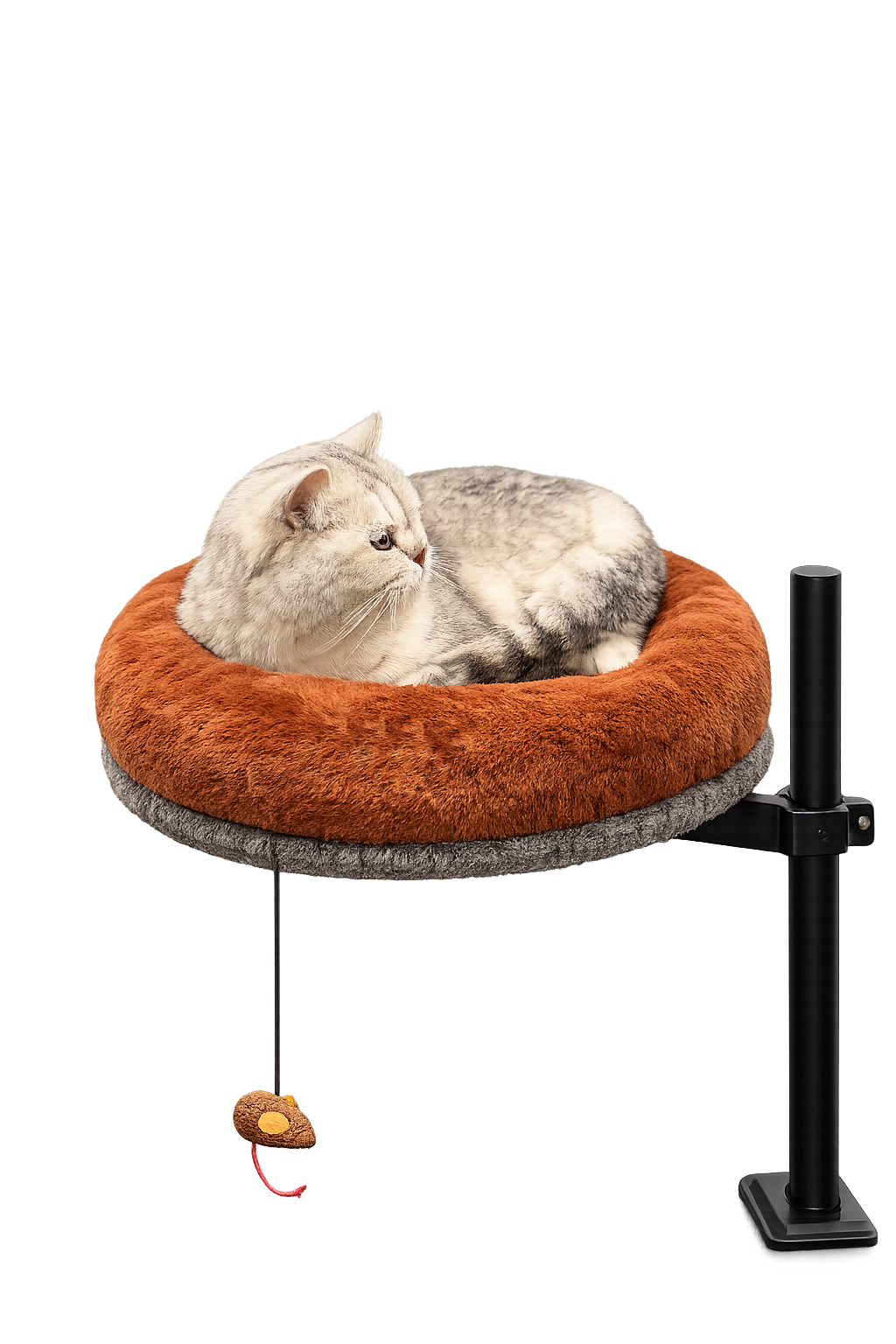 Light-colored tabby cat resting in the Petyze raised cat desk bed with a plush rust-brown donut cushion on a black metal stand, featuring a hanging mouse toy under the gray base.