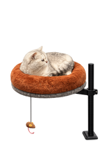 Light-colored tabby cat resting in the Petyze raised cat desk bed with a plush rust-brown donut cushion on a black metal stand, featuring a hanging mouse toy under the gray base.