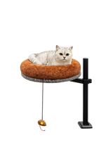 Silver and white tabby cat lying in the Petyze raised cat desk bed with a plush rust-brown donut cushion and dark gray base mounted on a black metal stand, featuring a small hanging mouse toy underneath.